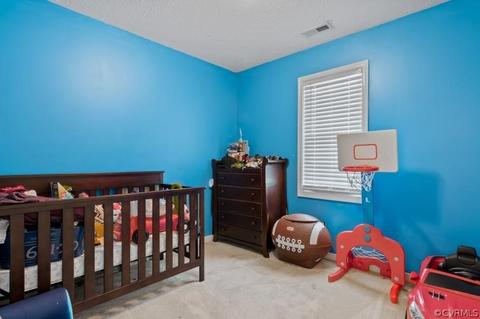 4609 Raspberry Patch Ln, Henrico, VA 23231 photo 16