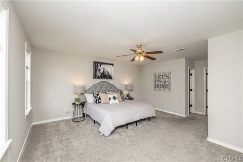 407 Michaux View Ter, Midlothian, VA 23113 photo 29