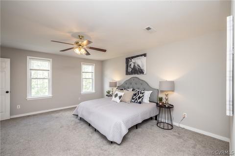 407 Michaux View Ter, Midlothian, VA 23113 photo 30