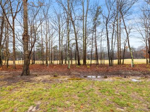2850 Barrow Pl, Midlothian, VA 23113 photo 49