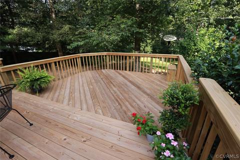 12206 Old Bailey Bridge Rd, Midlothian, VA 23112 photo 42