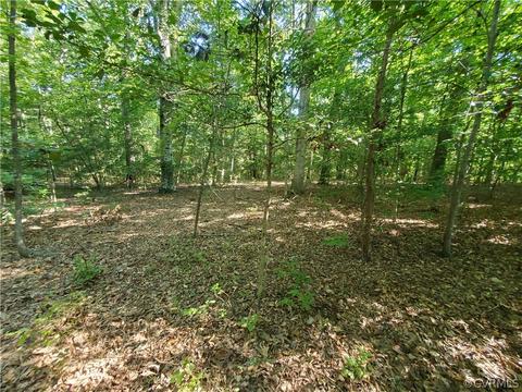0 Olivet Church Rd, New Kent, VA 23124