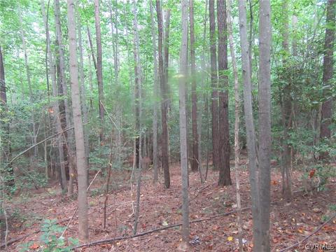 73 7a Warf Ln # -7, Carson, VA 23830 photo 9
