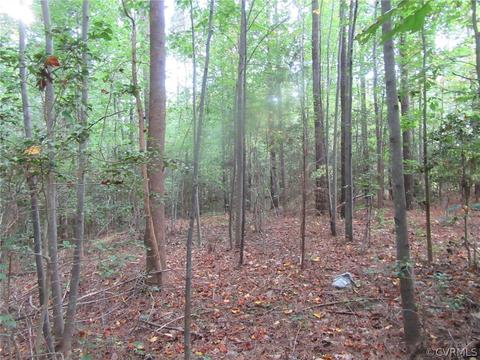 73 7a Warf Ln # -7, Carson, VA 23830 photo 10