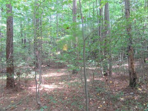 73 7a Warf Ln # -7, Carson, VA 23830 photo 14