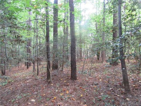73 7a Warf Ln # -7, Carson, VA 23830 photo 12