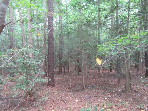 73 7a Warf Ln # -7, Carson, VA 23830 photo 11