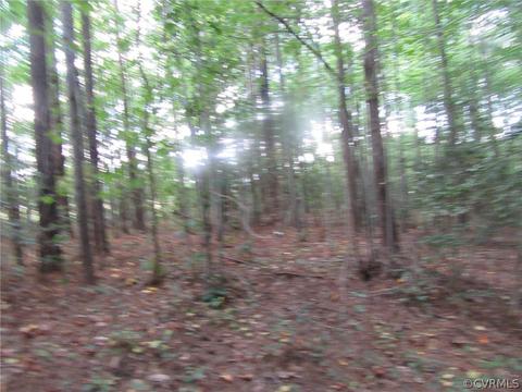 73 7a Warf Ln # -7, Carson, VA 23830 photo 13