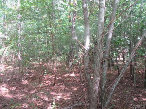 73 7a Warf Ln # -7, Carson, VA 23830 photo 5