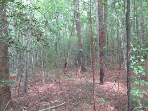 73 7a Warf Ln # -7, Carson, VA 23830