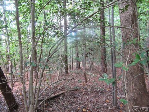 73 7a Warf Ln # -7, Carson, VA 23830 photo 8