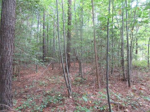 73 7a Warf Ln # -7, Carson, VA 23830 photo 7
