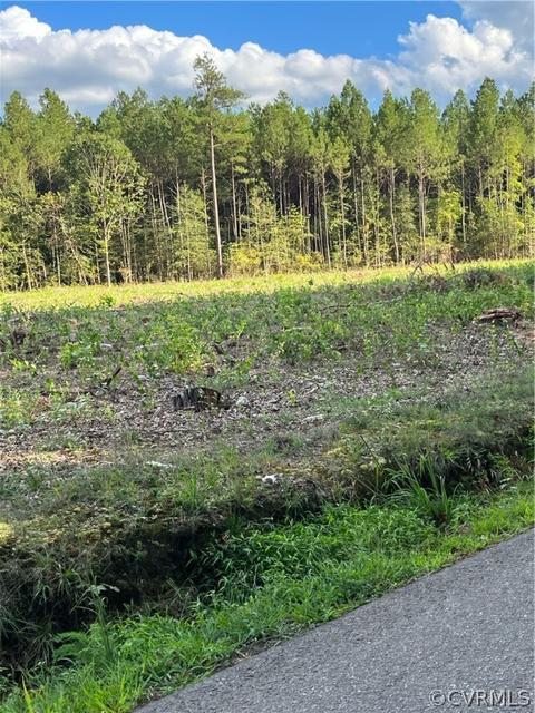 tbd Newville Rd, Waverly, VA 23890