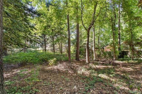 8200 Preakness Ct, Midlothian, VA 23112 photo 24