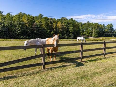 3215 Oxford Dr, Sutherland, VA 23885 photo 34