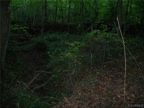 0 Grandy Rd, Brodnax, VA 23920 photo 34