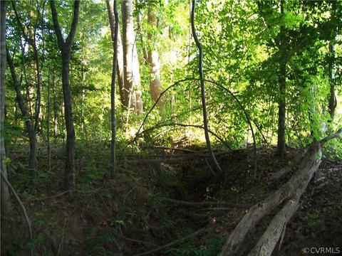 0 Grandy Rd, Brodnax, VA 23920 photo 31