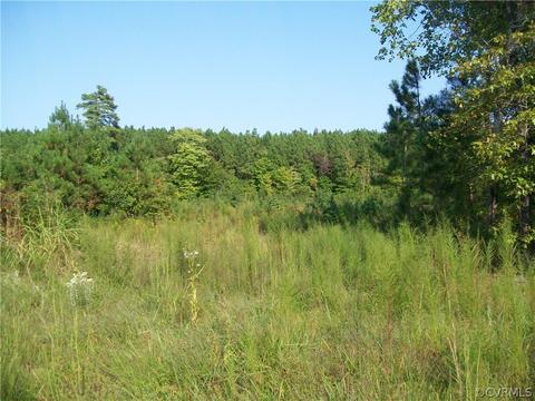 0 Grandy Rd, Brodnax, VA 23920 photo 25
