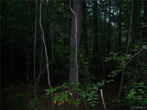 0 Grandy Rd, Brodnax, VA 23920 photo 46