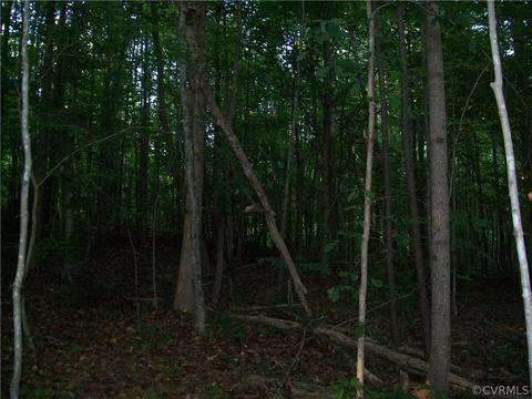 0 Grandy Rd, Brodnax, VA 23920 photo 33