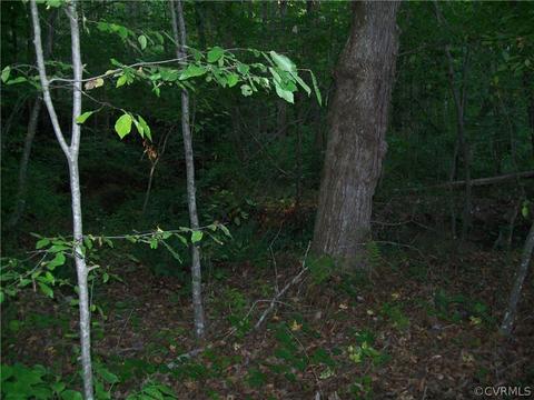 0 Grandy Rd, Brodnax, VA 23920 photo 37
