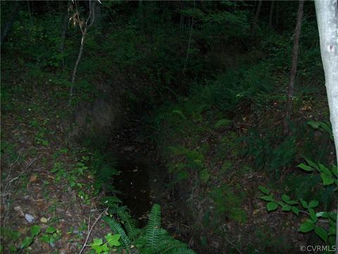 0 Grandy Rd, Brodnax, VA 23920 photo 38