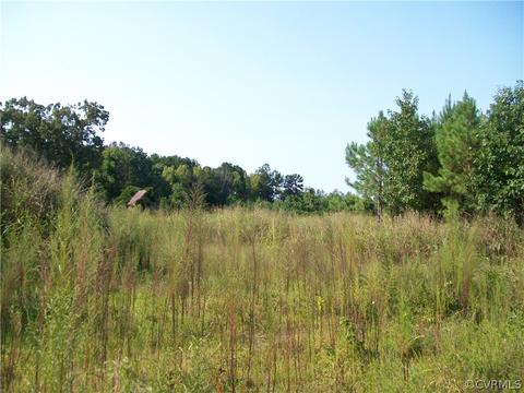 0 Grandy Rd, Brodnax, VA 23920 photo 26