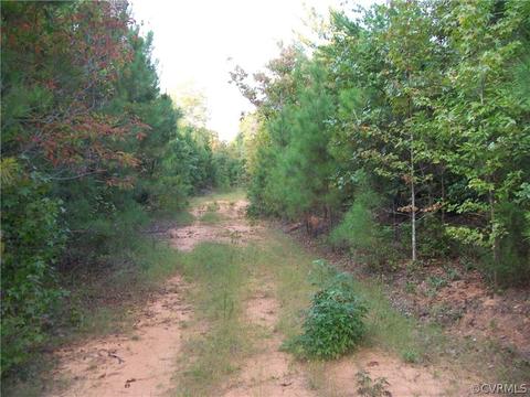 0 Grandy Rd, Brodnax, VA 23920 photo 44