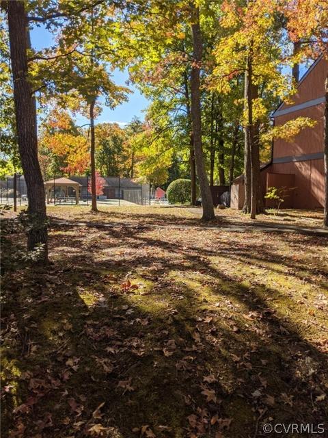 11765 N Briar Patch Dr, Midlothian, VA 23113 photo 5
