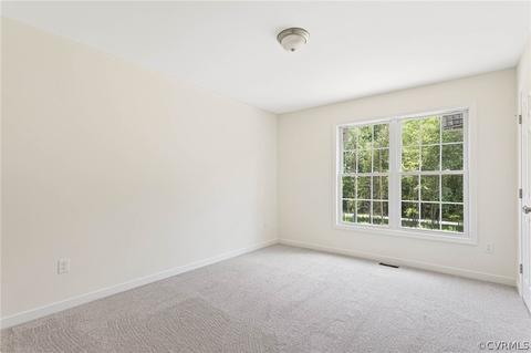 8370 Railroad Bed Rd, Carson, VA 23830 photo 11