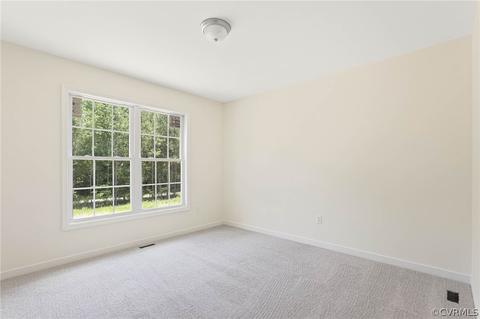 8370 Railroad Bed Rd, Carson, VA 23830 photo 13