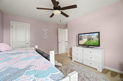 16872 White Daisy Loop, Moseley, VA 23120 photo 26