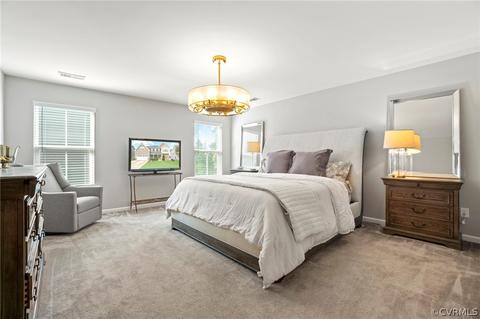 16872 White Daisy Loop, Moseley, VA 23120 photo 18