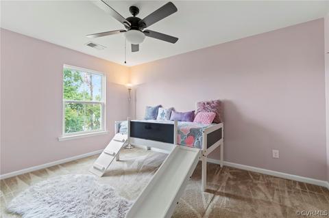 16872 White Daisy Loop, Moseley, VA 23120 photo 25
