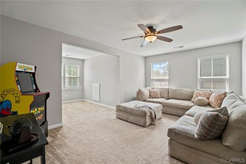 16872 White Daisy Loop, Moseley, VA 23120 photo 30
