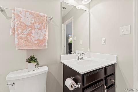 16872 White Daisy Loop, Moseley, VA 23120 photo 16