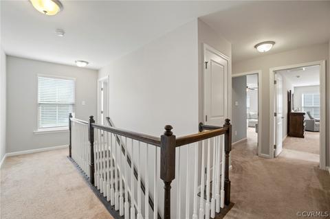 16872 White Daisy Loop, Moseley, VA 23120 photo 29