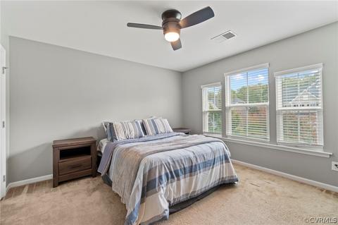 16872 White Daisy Loop, Moseley, VA 23120 photo 27