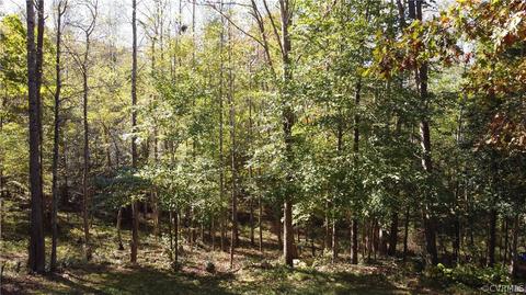 6506 Parrish Rd, Providence Forge, VA 23140 photo 5