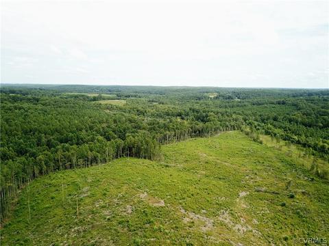 0 Back Mountain Rd, Buckingham, VA 23936 photo 23