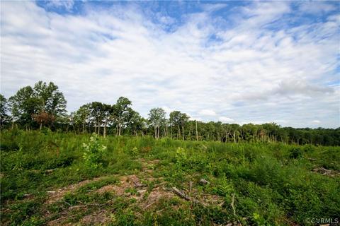 0 Back Mountain Rd, Buckingham, VA 23936 photo 27