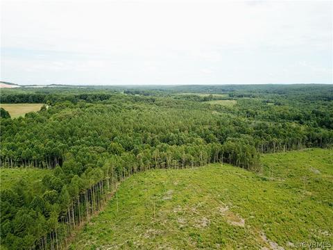 0 Back Mountain Rd, Buckingham, VA 23936 photo 15