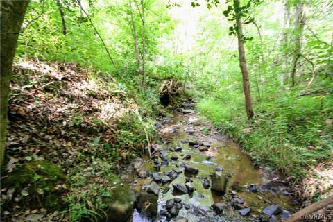 0 Back Mountain Rd, Buckingham, VA 23936 photo 35