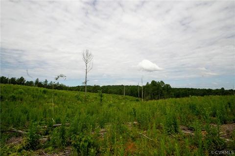 0 Back Mountain Rd, Buckingham, VA 23936 photo 49