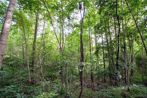0 Back Mountain Rd, Buckingham, VA 23936 photo 33