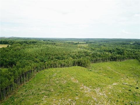 0 Back Mountain Rd, Buckingham, VA 23936 photo 4