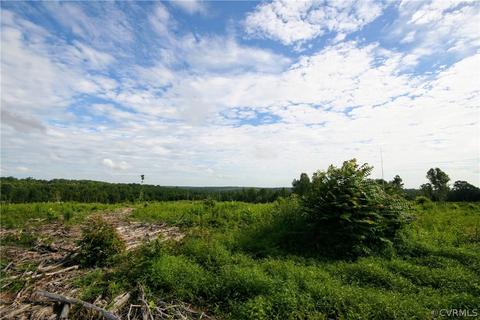 0 Back Mountain Rd, Buckingham, VA 23936 photo 29