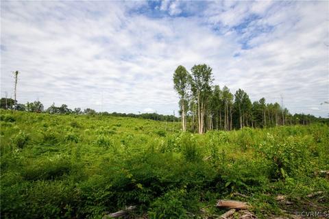 0 Back Mountain Rd, Buckingham, VA 23936 photo 42