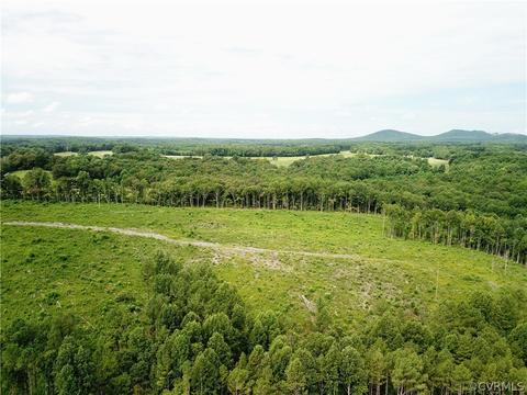 0 Back Mountain Rd, Buckingham, VA 23936 photo 11
