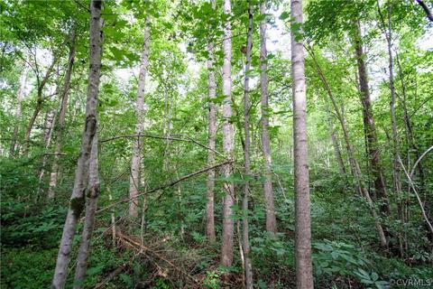 0 Back Mountain Rd, Buckingham, VA 23936 photo 34